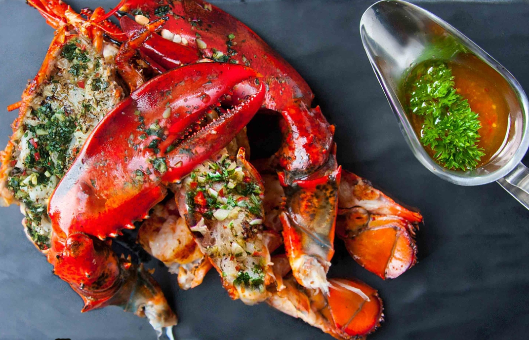 Maine Lobster Grilled garlic herbs butter 